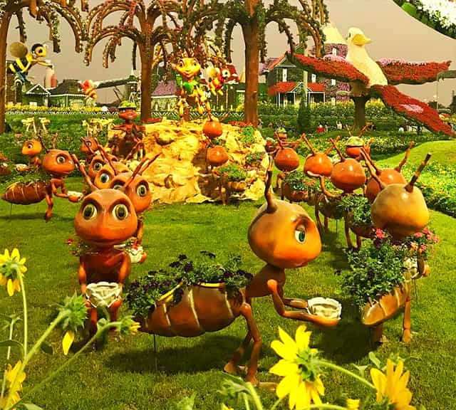 Ants Colony is very popular among the young visitors of the dubai Miracle Garden.