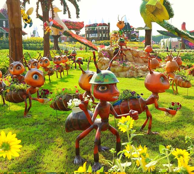 Structure of Ants Colony at Dubai Miracle Garden.