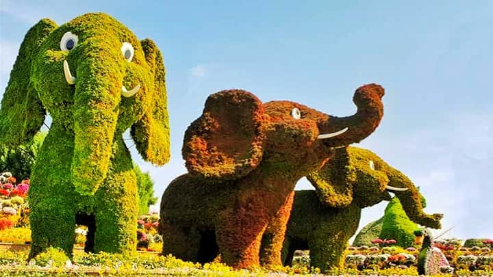 Baby Elephants Topiary Art at the Dubai Miracle Garden.