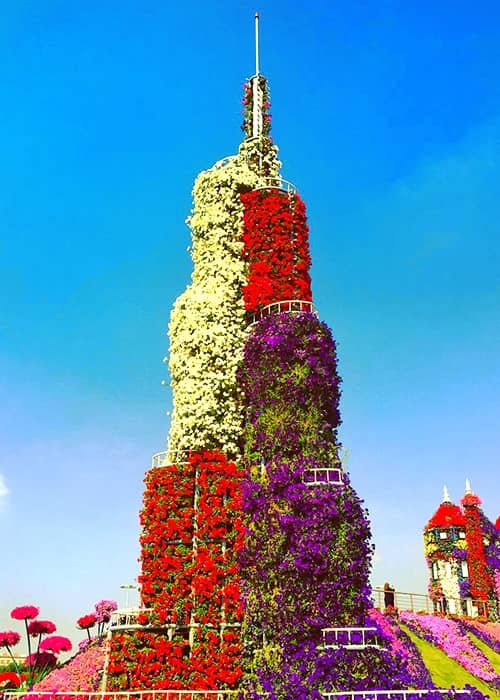 The Burj Khalifa Tower was fist introduced at the Dubai Miracle Garden in 2014.