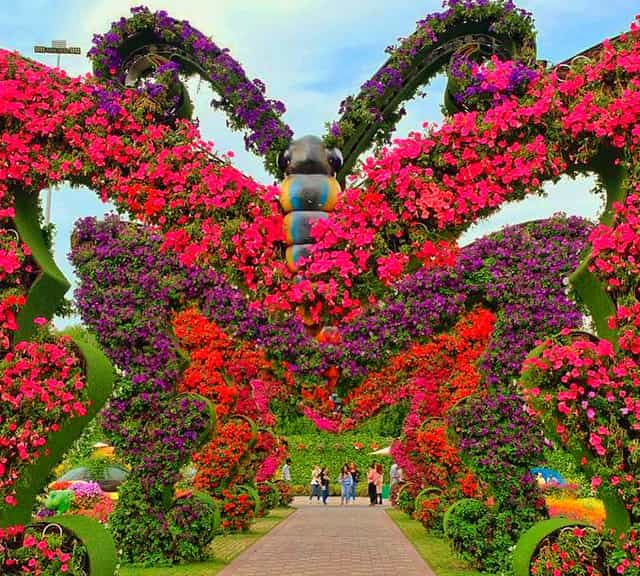 Butterfly Passage is decorated with Petunia flowers at the Dubai Miracle Garden