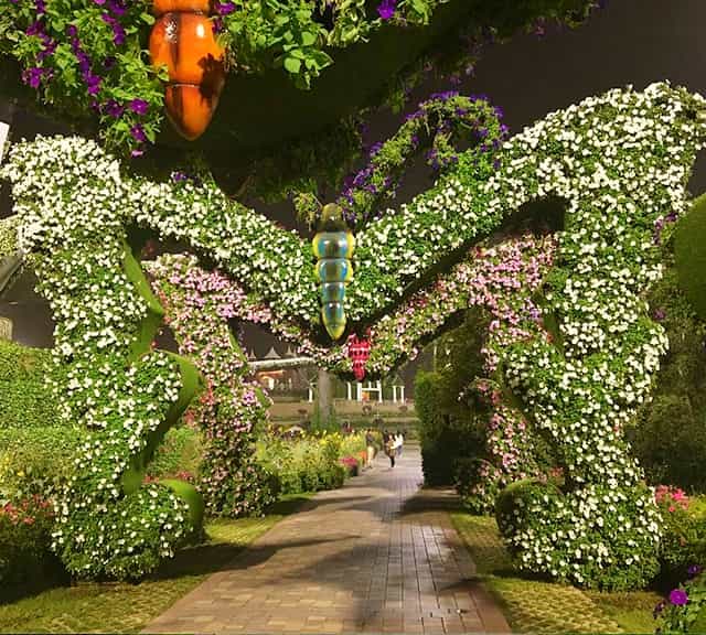 Photograph of Butterfly Passage at the Dubai Miracle Garden.