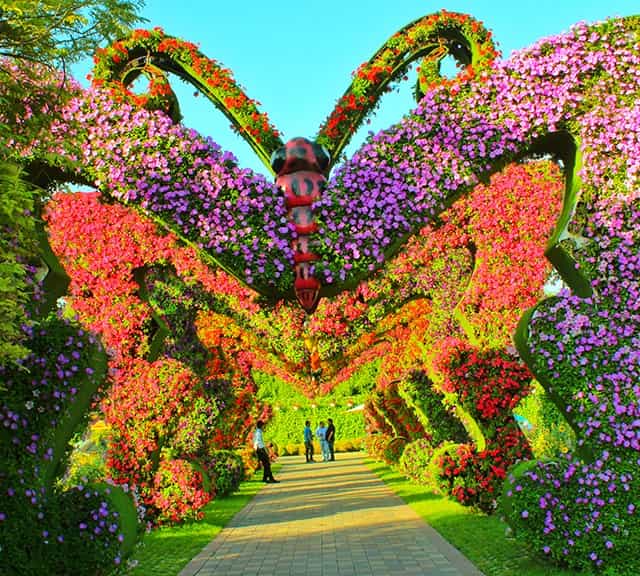 Structure of Butterfly Passage at the Dubai Miracle Garden