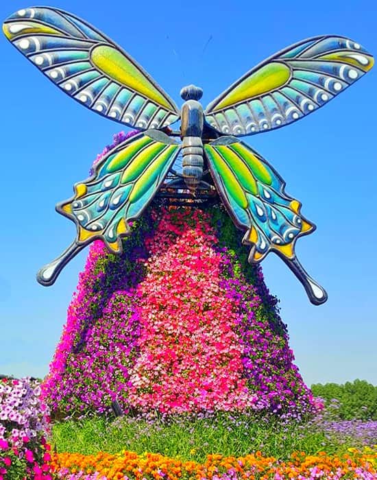 Butterfly Windmills introduction at the Dubai Miracle Garden.