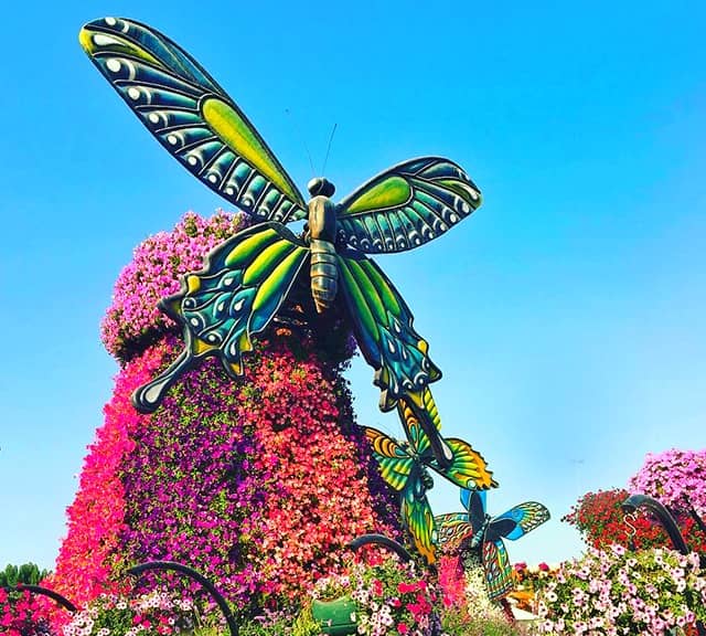 Butterfly Windmill maintenance at the Dubai Miracle Garden