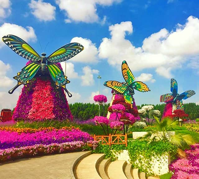 Butterfly Windmills at the Dubai Miracle Garden