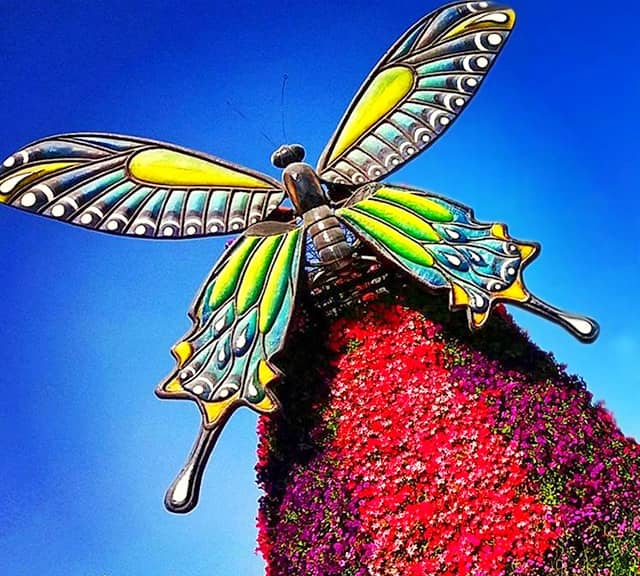 Butterfly Windmills are decorated with Petunia Flowers at the Dubai Miracle Garden