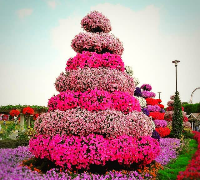 Size of the Colorful Fountains at the Dubai Miracle Garden