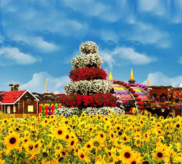 Colorful Fountains as floral themes at the Dubai Miracle Garden.