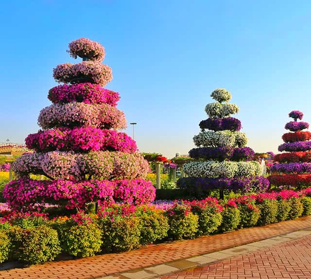 Structure of Colorful Fountains at the Dubai Miracle Garden.