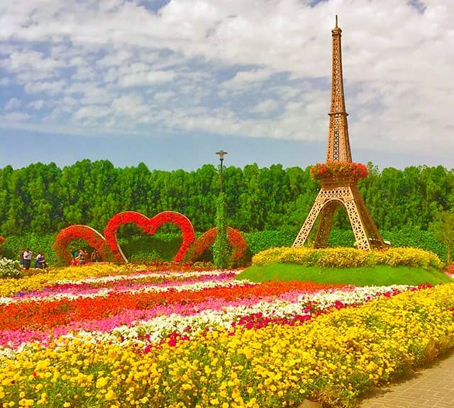 Eiffel Tower length from the ground is 35 feet at the Dubai Miracle Garden.