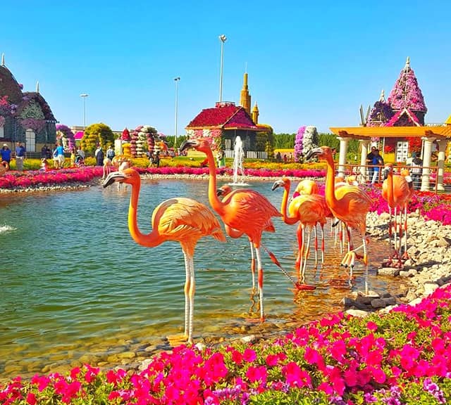 Flamingo Sculptures themselves are not decorated with any kind of flowers at the Dubai Miracle Garden.