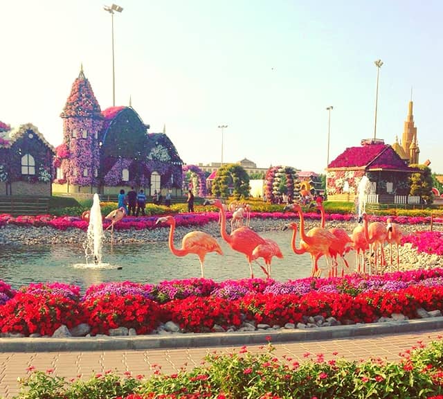 Flamingo Sculptures at the Dubai Miracle Garden