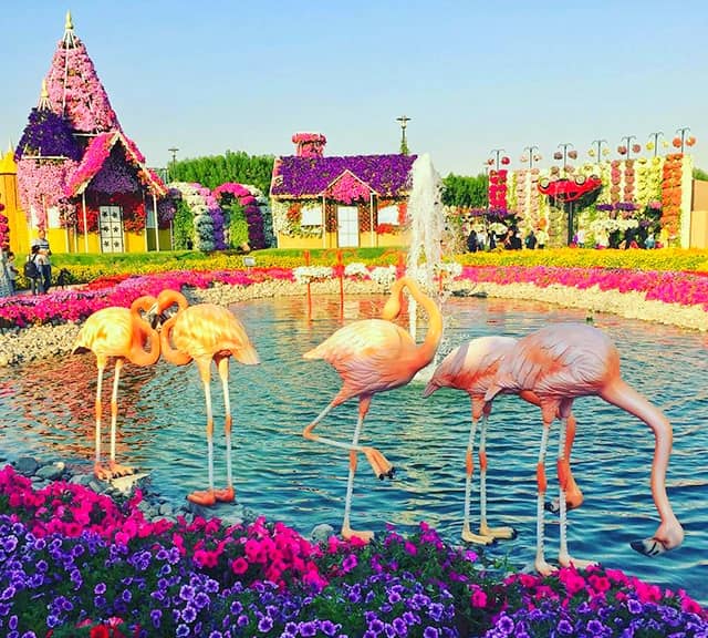 Flamingo Sculptures were first introduced at the Dubai Miracle Garden in 2015.