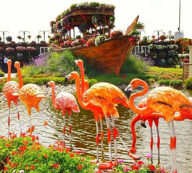 Flamingo Sculptures are very popular at the Dubai Miracle Garden.