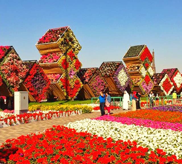 Floral Boxes at Dubai Miracle Garden