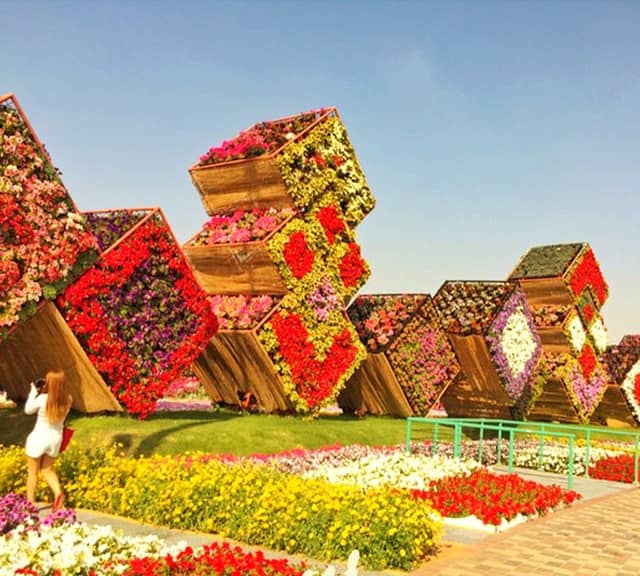 Floral Boxes were introduced at the the Dubai Miracle Garden in 2015.