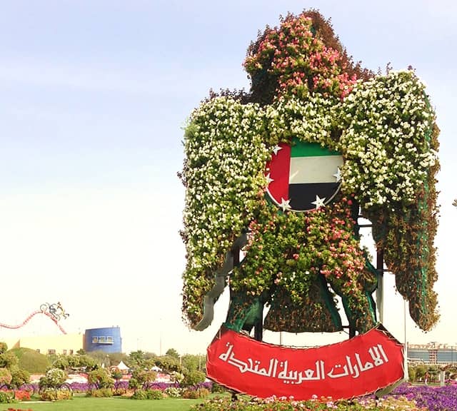 Floral Falcon UAE Introduction at Dubai Miracle Garden