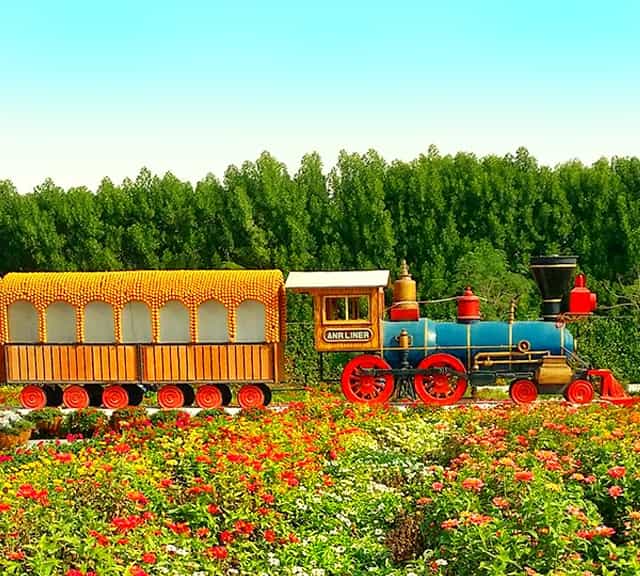 Introduction of Floral Train and its history at the Dubai Miracle Garden.