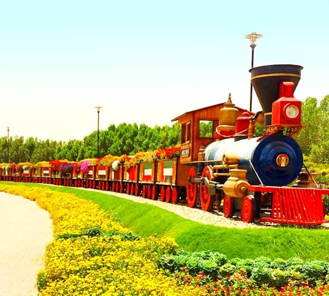 Photograph of the Floral Train at the Dubai Miracle Garden.