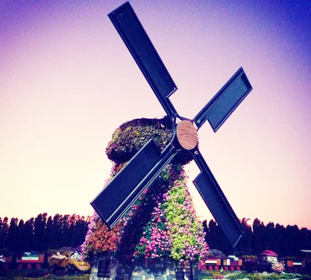 Floral Windmill Photograph at the Dubai Miracle Garden.
