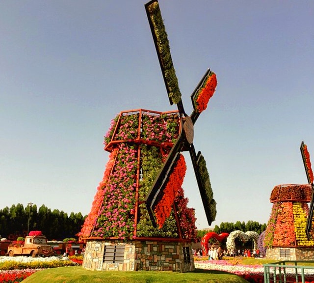 Floral Windmills at the Dubai Miracle Garden