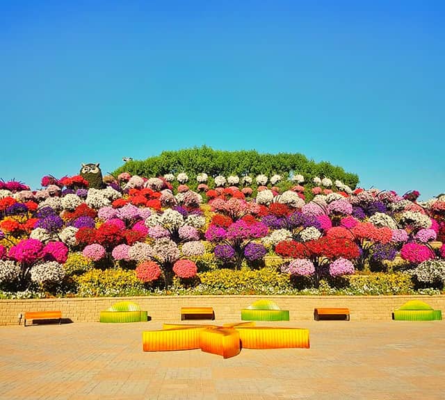 Flower Hill Dubai Miracle Garden.