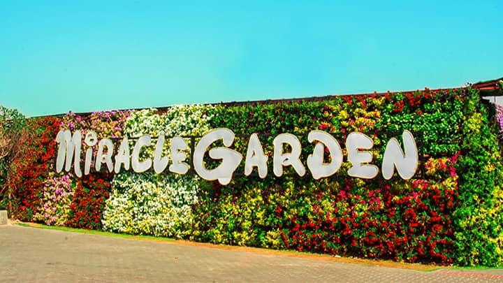 Longest Flower Wall in the World at Dubai Miracle Garden
