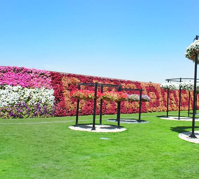 Longest Flower Wall in the world