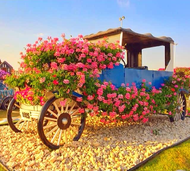 Photograph of Ford's Model-T Car at the Dubai Miracle Garden.