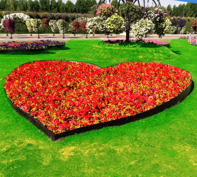 Mosaic heart of red flowers at Dubai Miracle Garden.