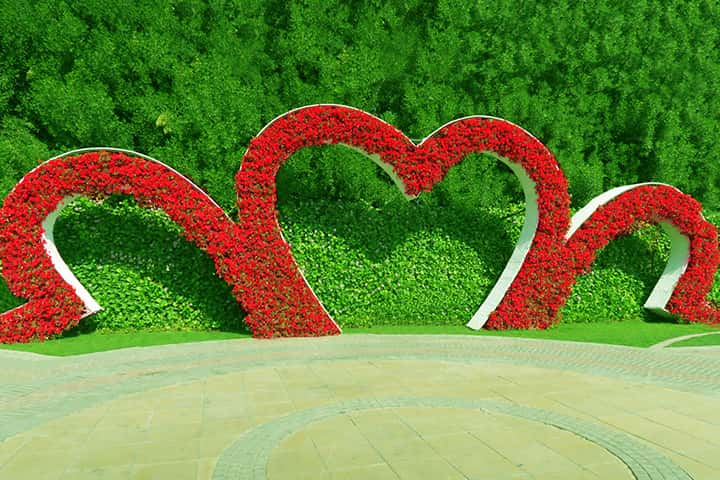Rising Heart Floral Theme at Dubai Miracle Garden.