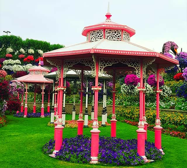 Gazebos are decorated with Petunia flowers at the Dubai Miracle Garden.