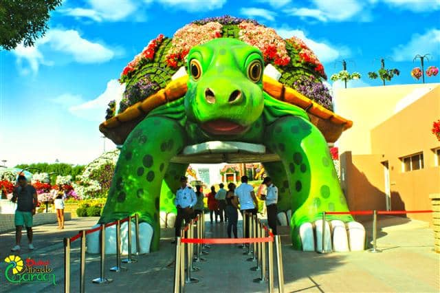 Giant Tortoise represents amphibian garden relationship at Dubai Miracle Garden