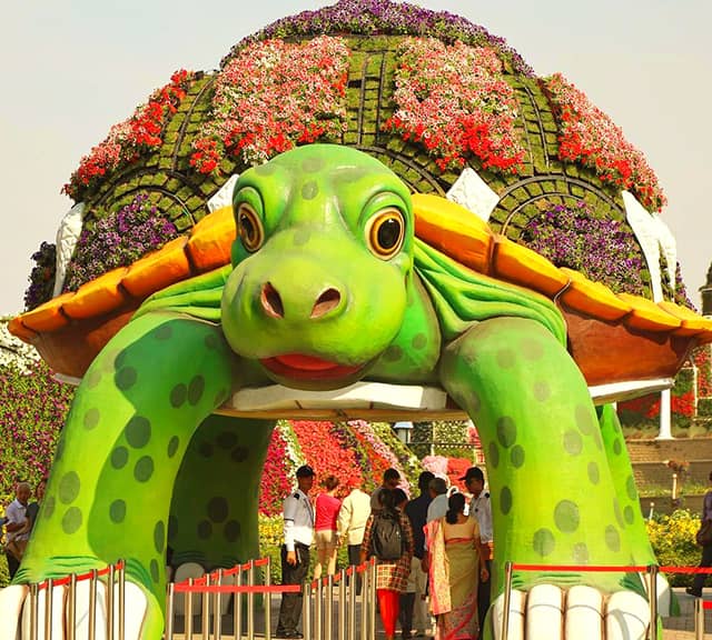 Giant Tortoise decorated with Petunia flowers in its sesaon six