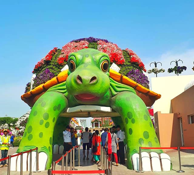 Giant Tortoise debut at Dubai Miracle Garden in its season six