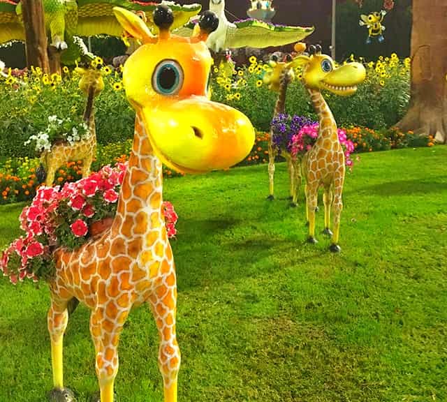 Giraffes' Floral theme night time photograph at the Dubai Miracle Garden