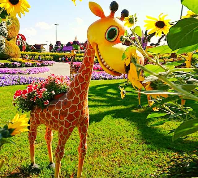 Giraffes' structure at the Dubai Miracle Garden