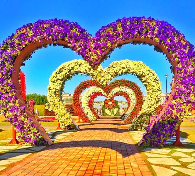 Hearts Passage History, since 2013 - Dubai Miracle Garden