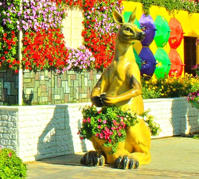 Kangaroos are decorated with Petunia flowers at the Dubai Miracle Garden.