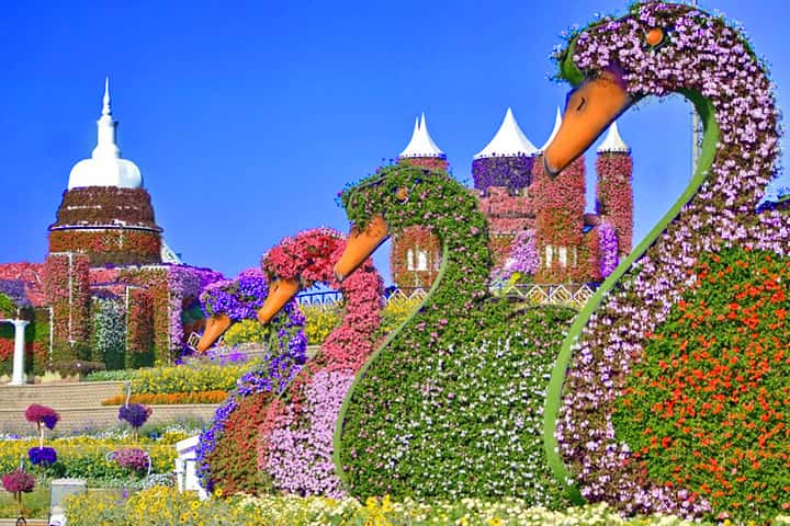 Dubai Miracle Garden remains open from November to May.
