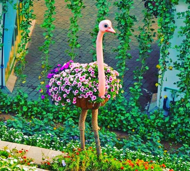 Ostriches Theme Structure at the Dubai Miracle Garden.