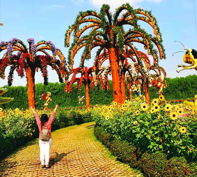 Palm Trees have a sophisticated structure at the Dubai Miracle Garden