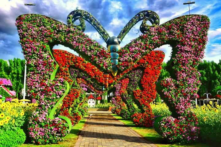 Butterfly Passage at Dubai Miracle Garden