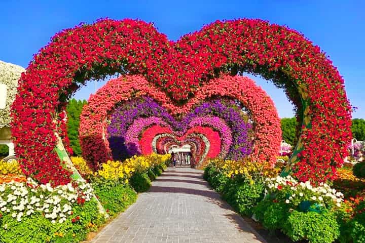 Hearts Passage is the most photographed floral theme at the Dubai Miracle Garden.