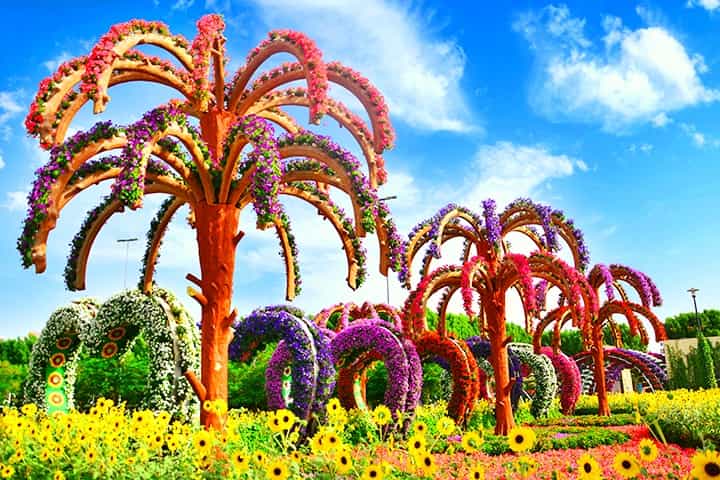 Palm Trees at Dubai Miracle Garden