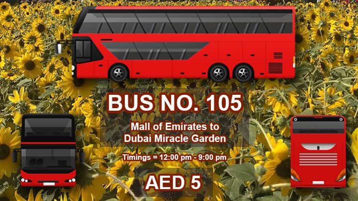 Timings of Public Transport Bus for Dubai Miracle Garden.