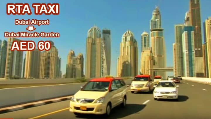 An RTA Taxi costs around 60 Dirhams to reach the Dubai Miracle Garden from the Dubai International Airport