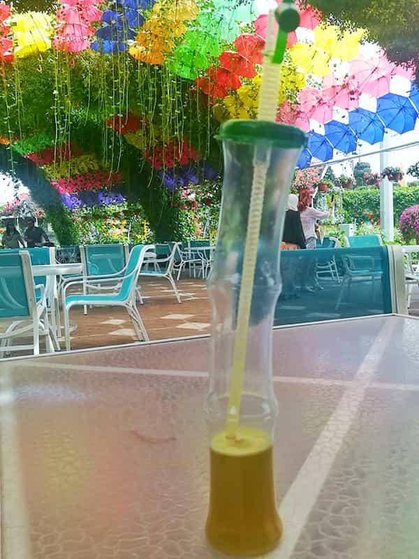 Drink sugarcane juice at dedicated sitting areas of the Dubai Miracle Garden