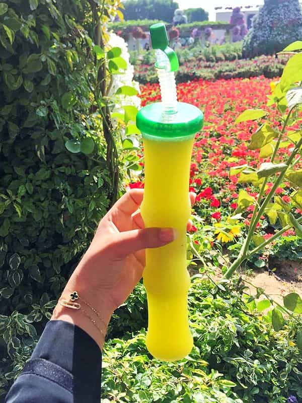 Sugarcane juice is the best option against the heat at the Dubai Miracle Garden.